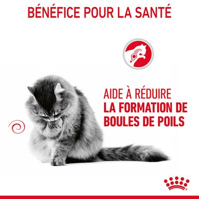 Texte : BÉNÉFICE POUR LA SANTÉ, AIDE À RÉDUIRE LA FORMATION DE BOULES DE POILS. Image d’un chat et symbole de santé animale. Marque Royal Canin visible.