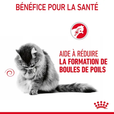 Texte : BÉNÉFICE POUR LA SANTÉ, AIDE À RÉDUIRE LA FORMATION DE BOULES DE POILS. Image d’un chat et symbole de santé animale. Marque Royal Canin visible.