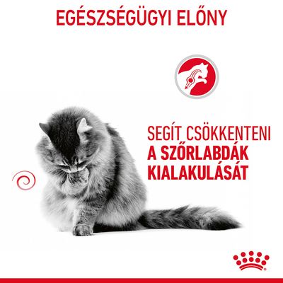 EGÉSZSÉGÜGYI ELŐNY. SEGÍT CSÖKKENTENI A SZŐRLABDÁK KIALAKULÁSÁT. Macska képe, Royal Canin logóval.