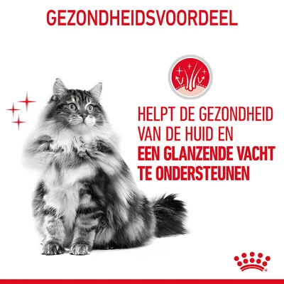 Gezondheidsvoordeel: helpt de gezondheid van de huid en een glanzende vacht te ondersteunen. Afbeelding van een langharige kat en Royal Canin merkicoon.