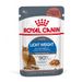 Royal Canin Light Weight Care umido in Salsa per gatti 12 x 85 g