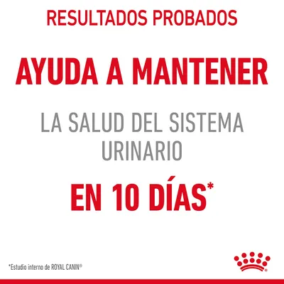 Resultados probados. Ayuda a mantener la salud del sistema urinario en 10 días*. *Estudio interno de ROYAL CANIN.