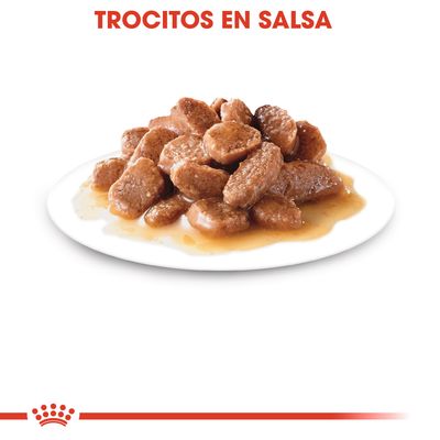 Trocitos en salsa servidos en un plato blanco, texto superior: TROCITOS EN SALSA. Imagen del producto para mascotas en formato húmedo.