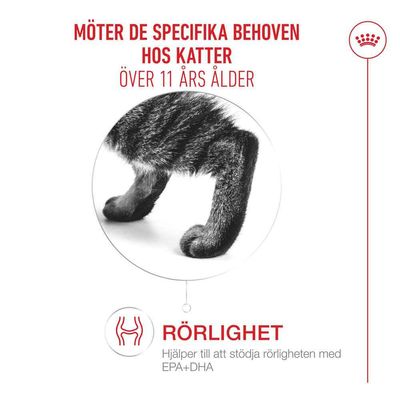 Royal Canin Ageing 11+