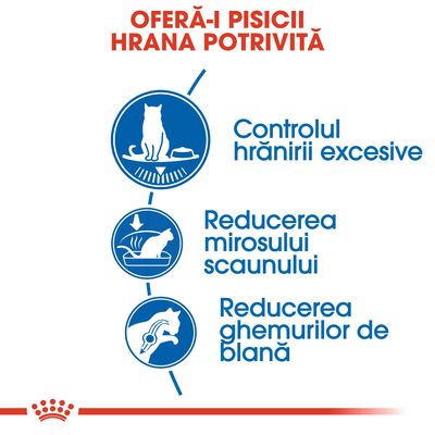 OFERĂ-I PISICII HRANA POTRIVITĂ. Controlul hrănirii excesive, reducerea mirosului scaunului, reducerea ghemurilor de blană.