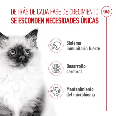 Royal Canin Kitten - 2 kg