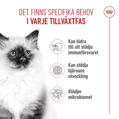 Royal Canin Kitten - 4 kg