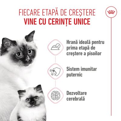 Grafică cu două pisici și trei puncte: Hrană ideală pentru prima fază de creștere, sistem imunitar puternic, dezvoltarea creierului. Text în română.