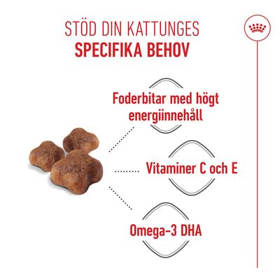 Royal Canin Mother & Babycat - 10 kg