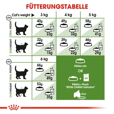 Tablica hranjenja za mačke prema težini: idealna težina i prekomjerna težina, dnevne količine za suhu hranu i Royal Canin Instinctive mokru hranu. Preporučuje se voda.