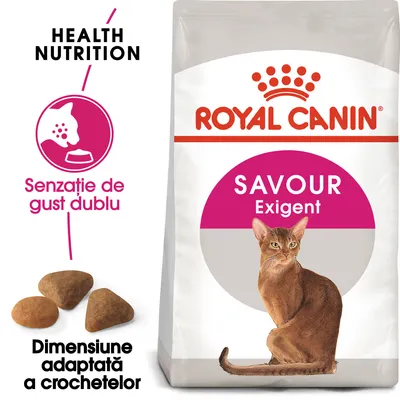 Pachet Royal Canin Savour Exigent cu imagine de pisică, text: Health Nutrition, Senzație de gust dublu, Dimensiune adaptată a crochetelor. Crochete vizibile lângă ambalaj. Pachet Royal Canin Savour Exigent cu imagine de pisică, text: Health Nutrition, Senzație de gust dublu, Dimensiune adaptată a crochetelor. Crochete vizibile lângă ambalaj.