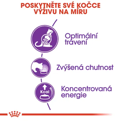 Poskytněte své kočce výživu na míru: Optimální trávení, Zvýšená chutnost, Koncentrovaná energie. Tři fialové ikony s textem.