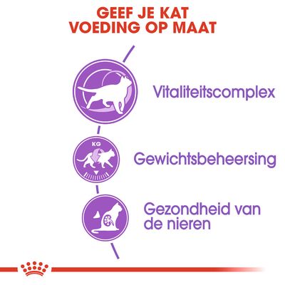 Geef je kat voeding op maat: vitaliteitscomplex, gewichtsbeheersing, gezondheid van de nieren. Drie paarse iconen met bijbehorende tekst voor kattenvoeding.