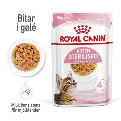 Royal Canin FHN Kitten Sterilised i gelé 12 x 85 g