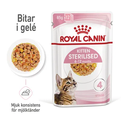 Royal Canin FHN Kitten Sterilised i gelé - 12 x 85 g Royal Canin FHN Kitten Sterilised i gelé - 12 x 85 g