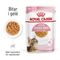 Royal Canin FHN Kitten Sterilised i gelé 12 x 85 g
