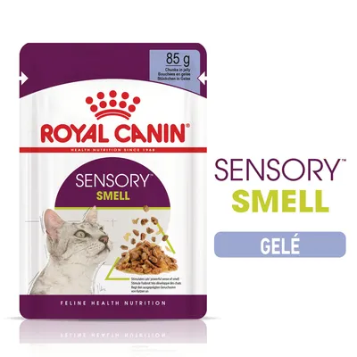 ROYAL CANIN SENSORY SMELL 85 g, gelé. Kat på emballagen, tekst: Chunks in jelly, SENSORY SMELL, GELÉ, FELINE HEALTH NUTRITION. ROYAL CANIN SENSORY SMELL 85 g, gelé. Kat på emballagen, tekst: Chunks in jelly, SENSORY SMELL, GELÉ, FELINE HEALTH NUTRITION.