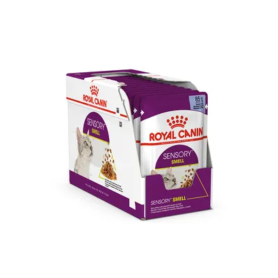 Royal Canin Sensory Smell kattenvoer, verpakking met meerdere zakjes van 85 g. Paarse en witte doos met afbeelding van kat en voerbrokjes. Tekst: SENSORY SMELL.