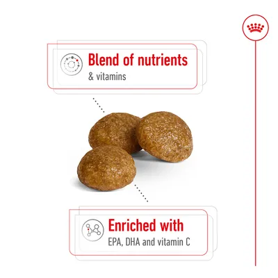 Kibble shown with text: blend of nutrients and vitamins; enriched with EPA, DHA and vitamin C.