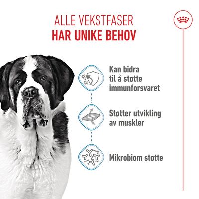 Royal Canin Giant Junior