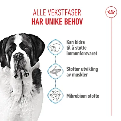 Royal Canin Giant Junior