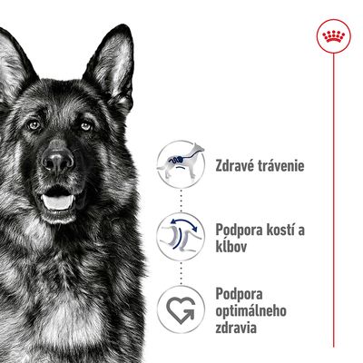 Zdravé trávenie, podpora kostí a kĺbov, podpora optimálneho zdravia – grafické ikony s textom vedľa obrázka psa. Hore vpravo červená korunka Royal Canin.