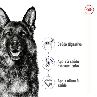 Embalagem de ração Royal Canin maxi size L, para cães adultos de 26 a 44 kg. Texto visível: Digestive health, Optimal health support, adult.