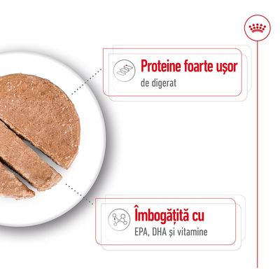 Felie de hrană umedă pe farfurie, cu text: Proteine foarte ușor de digerat. Îmbogățită cu EPA, DHA și vitamine.