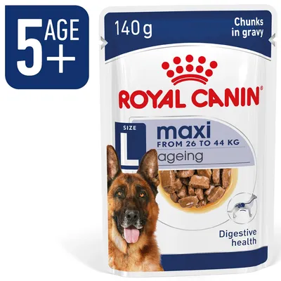ROYAL CANIN maxi ageing 140 g, chunks in gravy, til hunde fra 26 til 44 kg, 5 AGE+, Digestive health, billede af stor hund og foderstykker i sovs på emballagen.