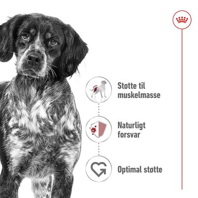 Hund ved siden af tre ikoner med teksten: Støtte til muskelmasse, Naturligt forsvar, Optimal støtte. Øverst til højre ses en krone og rød streg.