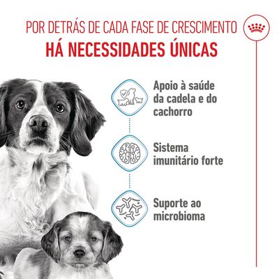 Royal Canin Medium Starter Mother & Babydog