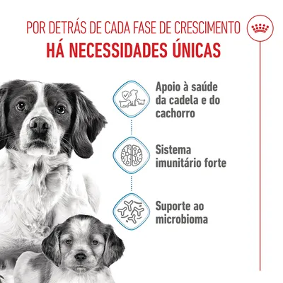 Royal Canin Medium Starter Mother & Babydog - 4 kg
