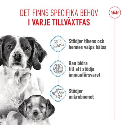 Royal Canin Medium Starter Mother & Babydog