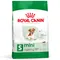 Royal Canin Mini Ageing 12+ 3,5 kg