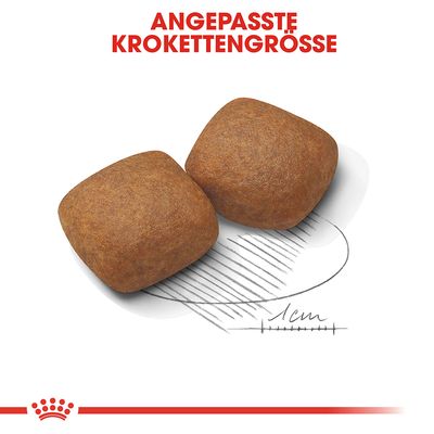 Две гранули с квадратна форма, показани върху скица с мащаб 1 см. Текст на немски: ANGEPASSTE KROKETTENGRÖSSE.