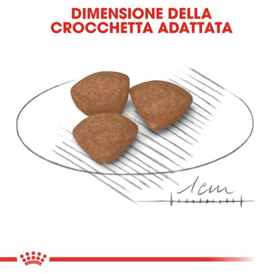 Tre crocchette marroni con testo: 'Dimensione della crocchetta adattata' e indicazione di misura 1 cm.