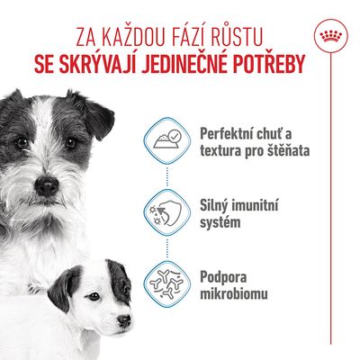 Grafika se třemi body: dokonalá chuť a textura pro štěňata, silný imunitní systém, podpora mikrobiomu. Zobrazeni dva psi.