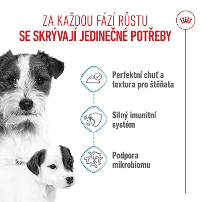 Grafika se třemi body: dokonalá chuť a textura pro štěňata, silný imunitní systém, podpora mikrobiomu. Zobrazeni dva psi. Grafika se třemi body: dokonalá chuť a textura pro štěňata, silný imunitní systém, podpora mikrobiomu. Zobrazeni dva psi.