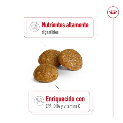 Pienso con texto: 'Nutrientes altamente digestibles' y 'Enriquecido con EPA, DHA y vitamina C'. Tres croquetas marrones visibles.