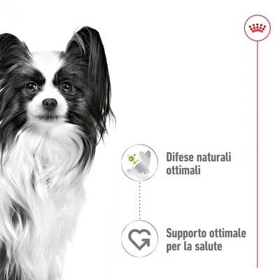 Testo: Difese naturali ottimali. Supporto ottimale per la salute.