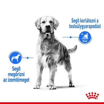 Kutyás illusztráció, szöveggel: Segít megőrizni az izomtömeget; Segít korlátozni a testsúlygyarapodást. Royal Canin logó alul.