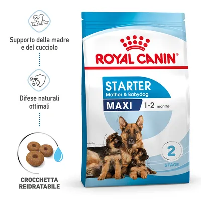 Royal Canin Starter Mother & Babydog Maxi 1–2 months, supporto della madre e del cucciolo, difese naturali ottimali, crocchetta reidratabile, confezione con cane adulto e cuccioli. Royal Canin Starter Mother & Babydog Maxi 1–2 months, supporto della madre e del cucciolo, difese naturali ottimali, crocchetta reidratabile, confezione con cane adulto e cuccioli.