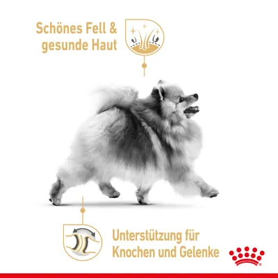 Beautiful coat & healthy skin. Support for bones and joints. Dog shown with Royal Canin logo.