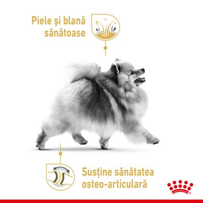 Piele și blană sănătoase. Susține sănătatea osteo-articulară. Imagine cu un câine de talie mică, logo Royal Canin în colțul din dreapta jos.