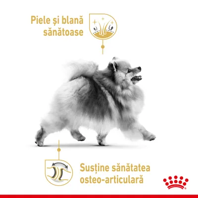 Piele și blană sănătoase. Susține sănătatea osteo-articulară. Imagine cu un câine de talie mică, logo Royal Canin în colțul din dreapta jos.