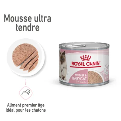 ROYAL CANIN Mother & Babycat 1–4 months, mousse ultra tendre, aliment premier âge idéal pour les chatons, boîte avec image de chaton et texte en anglais sur l’emballage.