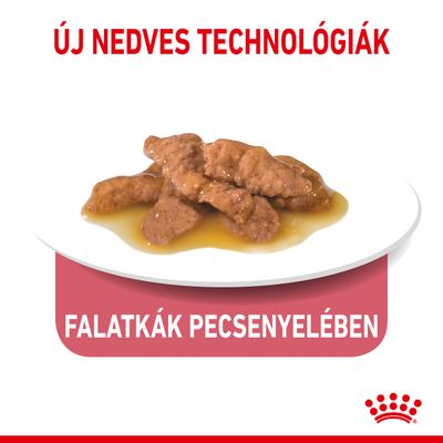 Új nedves technológiák. Falatkák pecsenyelében. Tányéron szószos falatok láthatók, alul Royal Canin márkajelzés.