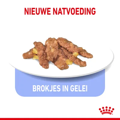 Nieuwe natvoeding, brokjes in gelei op een bord. Tekst: BROKJES IN GELEI.