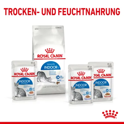 Royal Canin Indoor Trocken- und Feuchtnahrung für Katzen. Verpackungen mit Produktnamen und Bildern von Katzen sichtbar.
