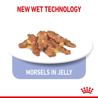 Tallrik med bitar i gelé. Text: NEW WET TECHNOLOGY, MORSLES IN JELLY. Röd krona synlig längst ner till höger.